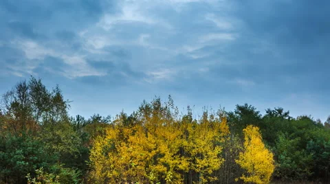 Time-lapse of clouds moving over colorful autumnal trees Vídeo Stock 68819898
