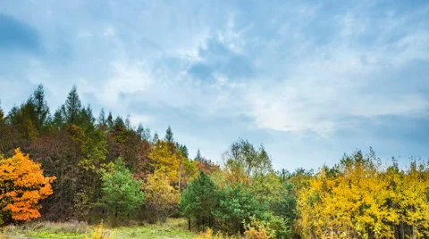 Time-lapse of clouds moving over colorful autumnal trees Stock Footage 68820873