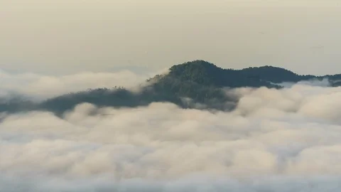 Time lapse clouds moving over tree highland forest at Titiwangsa mountains. Stock Footage 86824253
