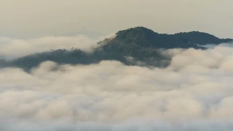 Time lapse clouds moving over tree highland forest at Titiwangsa mountains. Stock Footage 86824258