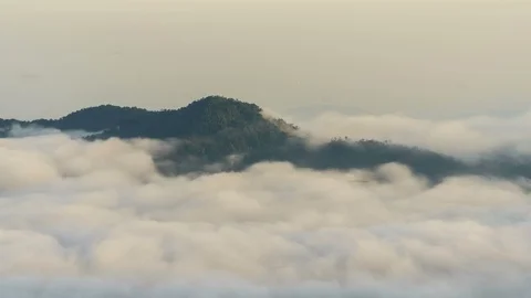 Time lapse clouds moving over tree highland forest at Titiwangsa mountains. Stock Footage 86824503