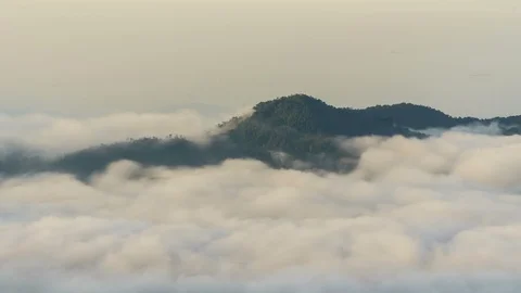 Time lapse clouds moving over tree highland forest at Titiwangsa mountains. Stock Footage 86824508