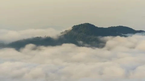 Time lapse clouds moving over tree highland forest at Titiwangsa mountains. Stock Footage 86824801