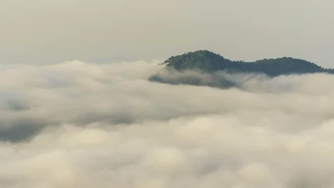 Time lapse clouds moving over tree highland forest at Titiwangsa mountains. Stock Footage 86825106