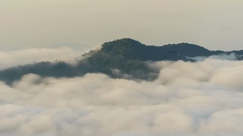 Time lapse clouds moving over tree highland forest at Titiwangsa mountains. Stock Footage 86839112