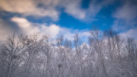 Time Lapse - Clouds Moving Over Branch in Winter - 4K Video stock 101711579