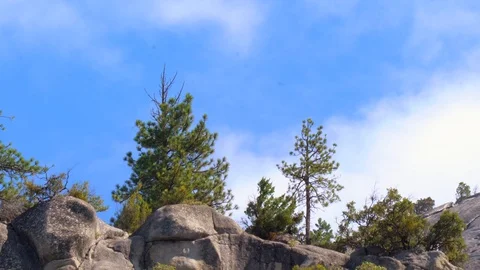 Time lapse of clouds moving over Yosemite trees Stock Footage 114260850