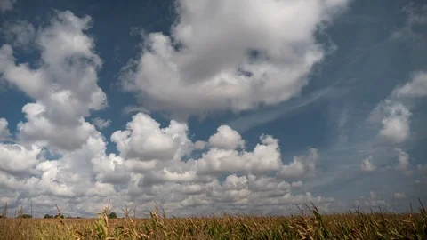 Time lapse of clouds moving over corn field Stock Footage 115889526
