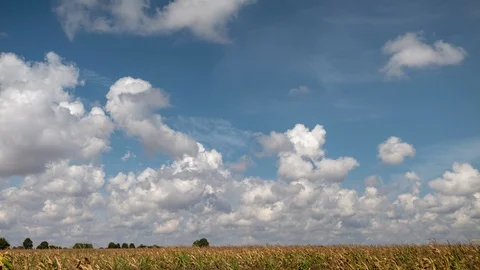 Time lapse of clouds moving over corn field Video stock 115889593