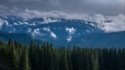Time lapse clouds moving over pine tree highland forest. Foggy morning landscape Video stock 120748307