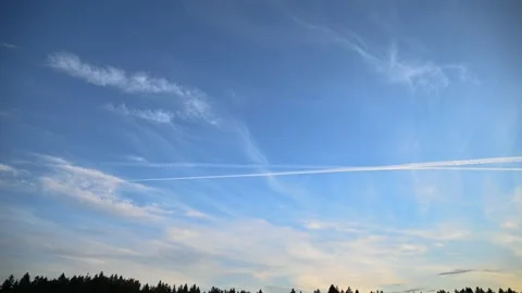 Time lapse clouds moving over forest trees Stock Footage 135405414