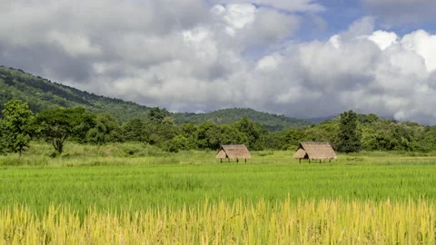 Time lapse of clouds moving over mountains and rice paddy field Stock Footage 218412252