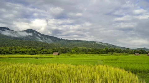 Time lapse of clouds moving over mountains and rice paddy field Stock Footage 218412264