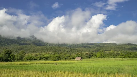 Time lapse of clouds moving over mountains and rice paddy field Stock Footage 218412277