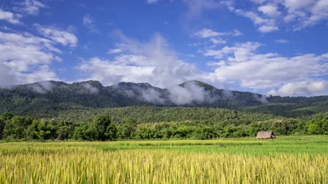 Time lapse of clouds moving over mountains and paddy rice field Stock Footage 218641034