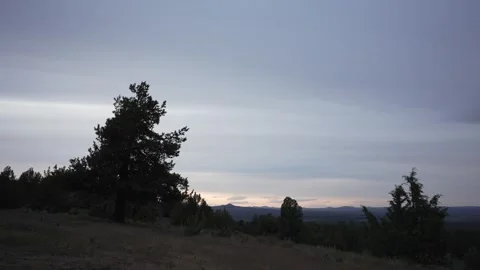 Time lapse of clouds moving over a juniper tree silhouette in Oregon Stock Footage 346794693