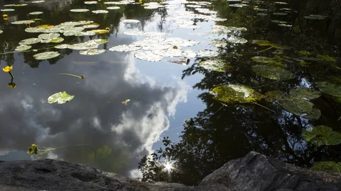 Time-lapse of clouds moving in the reflection of a lake, in a Swedish forest, Stock Footage 94319661
