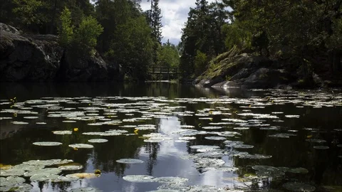 Time-lapse of clouds moving in the reflection of a lake, in a Swedish forest, Stock Footage 94319736