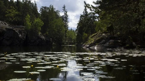 Time-lapse of clouds moving in the reflection of a lake, in a Swedish forest, Stock Footage 94319791