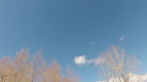 Time-lapse of clouds moving through sky behind trees Stock Footage 73050697