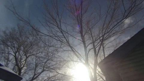 Time-lapse of clouds moving through sky behind trees on a bright sunny day. Stock Footage 73051386