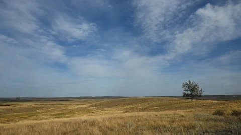 Time lapse of clouds moving through a blue sky above a single tree Stock Footage 275533829