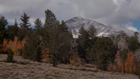 Time lapse of clouds, orange aspens, pines, sage and a snowy Sierra Nevada peak Stock Footage 145295527