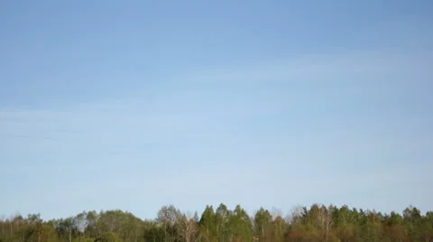 Time lapse clouds over blue sky and forest trees Stock Footage 37963073