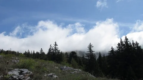 Time Lapse - Clouds Over Cliffs and Fir Trees Stock Footage 100901484