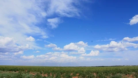 Time lapse of clouds over cotton field in Texas, 4K, Stock Footage 80203878