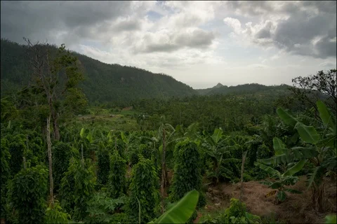 Time lapse of clouds over a farm Stockbeeldmateriaal 91163628