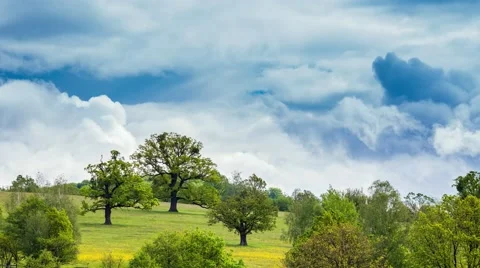 Time-lapse clouds over the green forest Stock Footage 44413629
