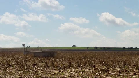 Time lapse clouds over a harvested maize field Stock Footage 164845240