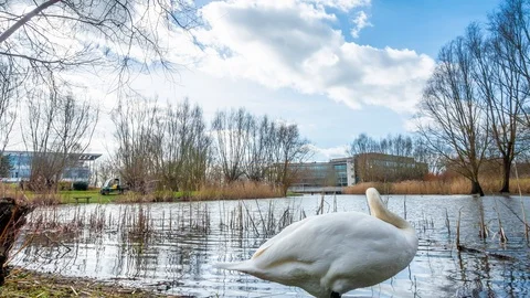 Time lapse of clouds over a lake Stock Footage 104454214