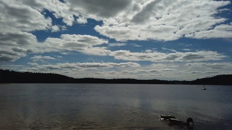 Time lapse of clouds over the lake, forest on background. Finland Stock Footage 111879644