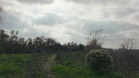 Time Lapse of clouds over a levee trail in California Stock Footage 324380821