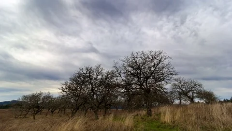 Time lapse of clouds over meadowland in Powell Butte Nature Park in Portland OR Stock Footage 85187233