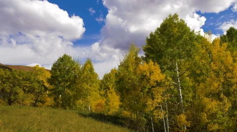 Time Lapse Clouds Over Mountain Landscape Autumn Fall Golden Leaves Wide Shot Stock Footage 68080326