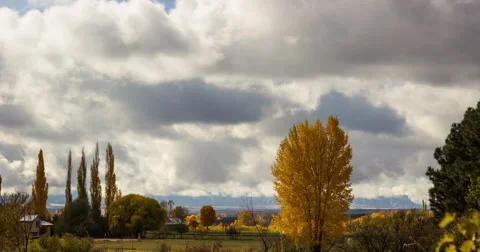 Time-lapse of Clouds Over Mountains Behind Yellow Tree in Fall Stock Footage 56824821