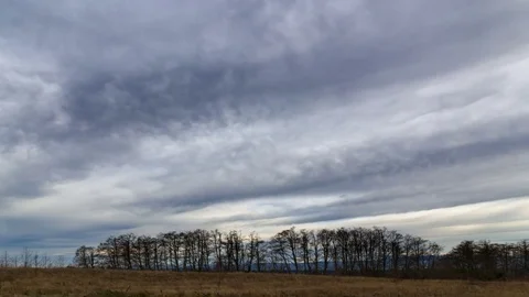 Time lapse  of clouds over open field meadow in Portland OR during Winter season Stock Footage 85143818