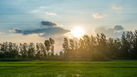 Time Lapse clouds over the Paddy fields 動画素材 77255372