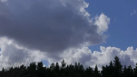 Time lapse of clouds over pine forest. The stormy sky. Dark tree-tops. Stock Footage 74619939