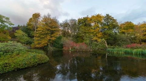 Time Lapse of clouds over pond water reflection in Crystal Springs Garden autumn Stock Footage 56884388
