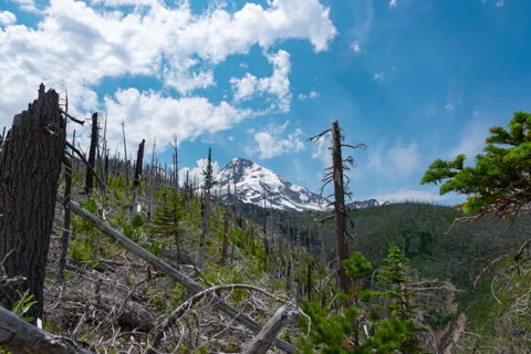 Time Lapse clouds over snowcapped Mt. Hood after devastating fire 库存影片 329139155