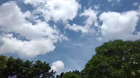 Time lapse of clouds over the trees Stock Footage 135426499