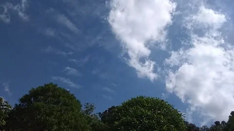 Time lapse of clouds over the trees Stock Footage 135426512