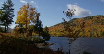 Time Lapse of clouds over Wyman Lake &amp; Fall Foliage on the Kenebec River, Maine Stock Footage 85669896