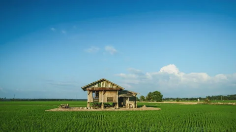 Time lapse of clouds at the paddy fields. Stock Footage 62542969