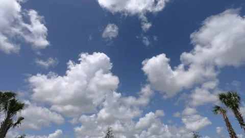 Time Lapse Clouds Palm Trees Stock Footage 200889880