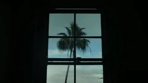 Time lapse clouds pass a palm tree through a window in blacked out room 4K Stock Footage 274642185